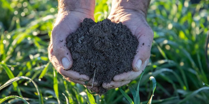 Carbon Forums Narrabri & Tamworth